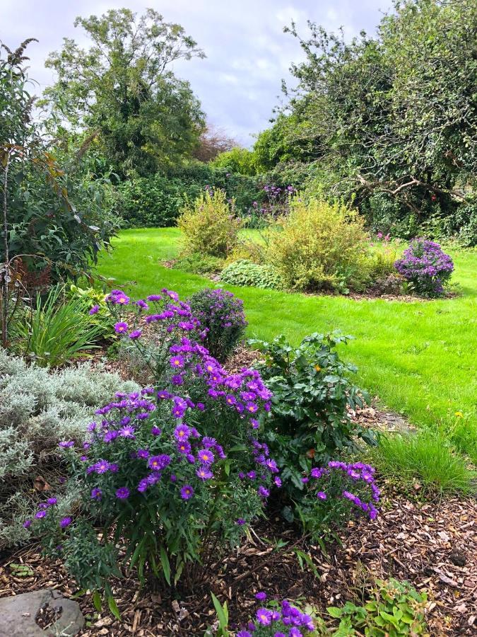Garden Townhouse 5* Dingle